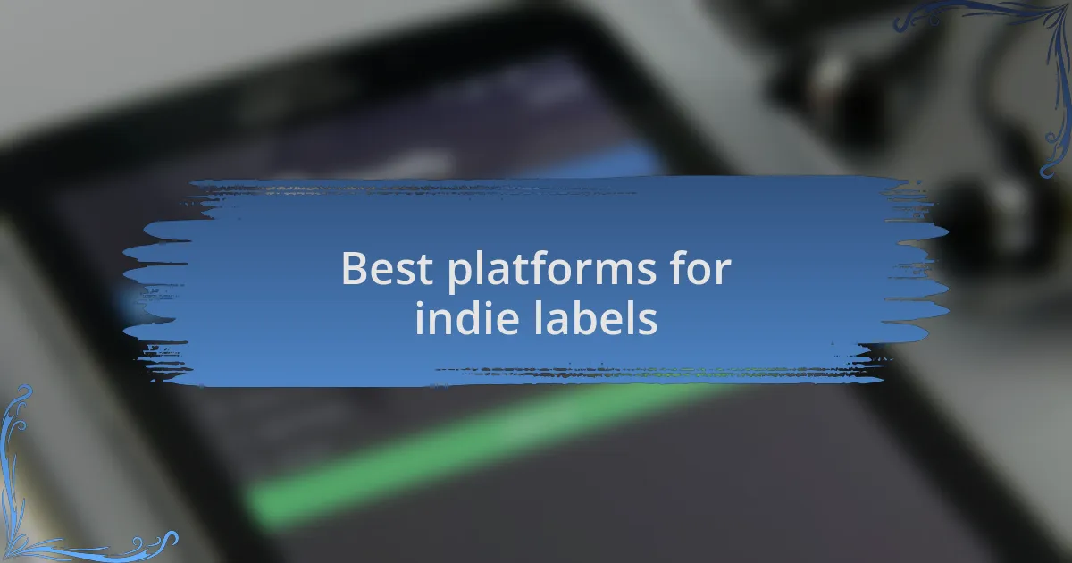 Best platforms for indie labels