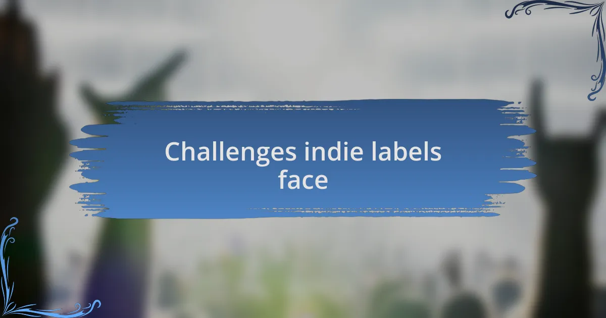Challenges indie labels face