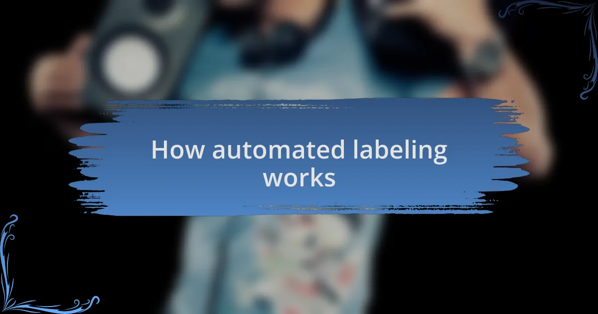 How automated labeling works