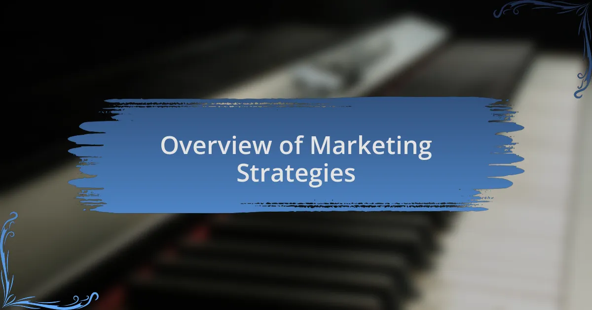 Overview of Marketing Strategies